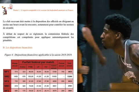 Extrait d’une mise en page professionnelle intégrant des tableaux et des graphiques sur un fond d’ambiance sportive.