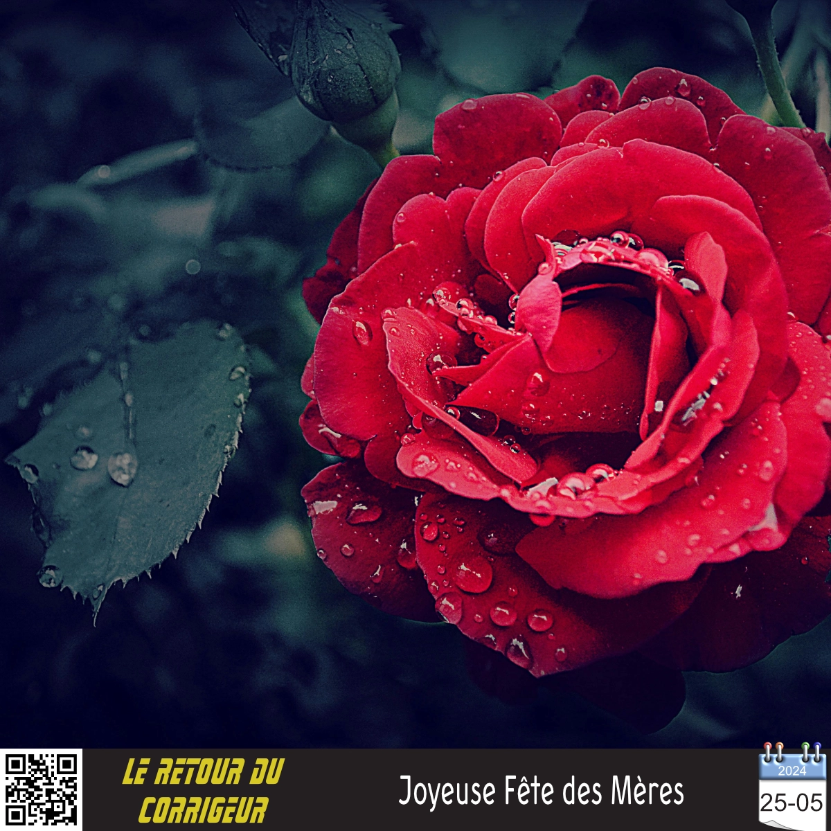 Joyeuse Fête des Mères
