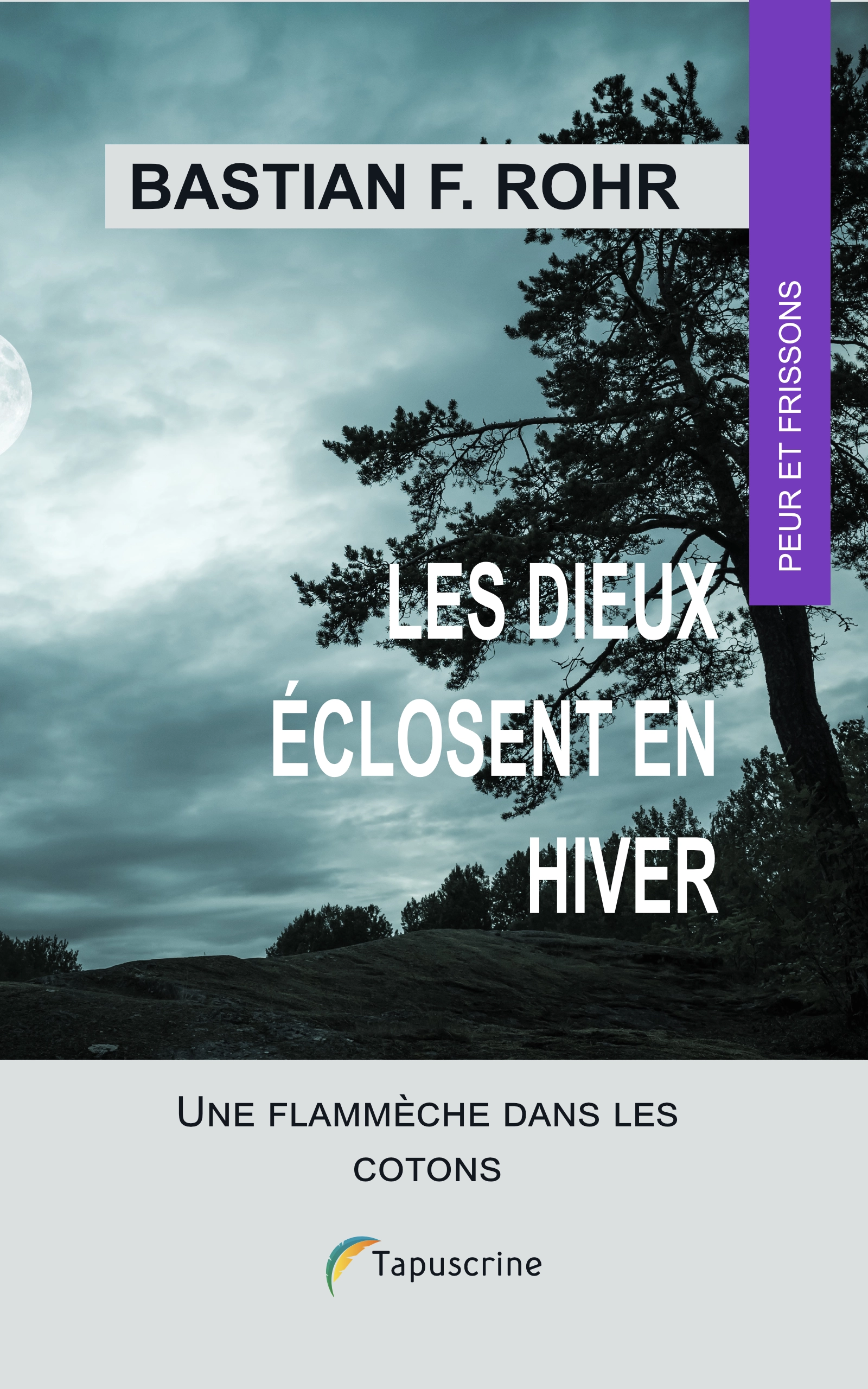 Couverture du livre Kindle Les dieux éclosent en hiver, de Bastian Florian Rohr